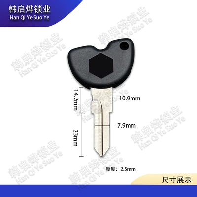 Piaggio Medley150 Motorcycle Motorcycle Key