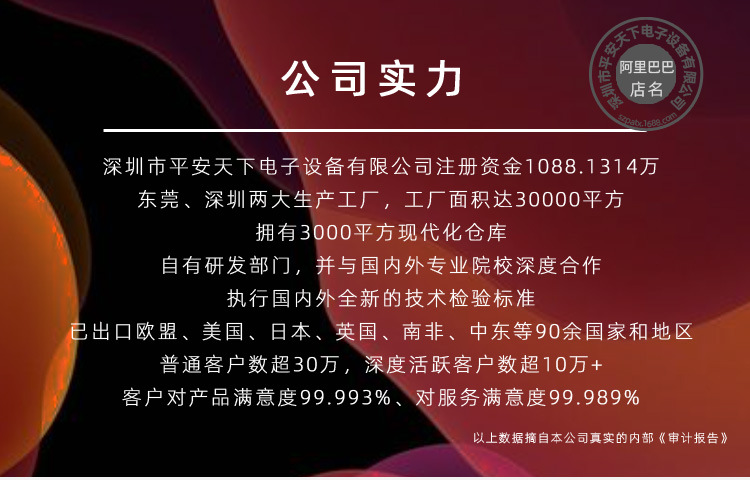 2009详共【A】_9-1公司实力.jpg