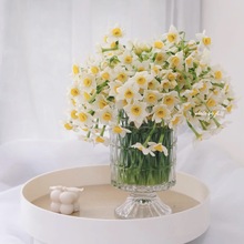 【鲜切枝水仙花】漳州市花年宵花新鲜现摘鲜切花遇水开花花束鲜花
