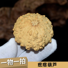 异形疙瘩小葫芦一物一图实拍工艺品收藏盘玩文玩小葫芦手把件