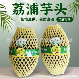 ���ڏV���������^���r�F�ڙ��ƴ�������]�r��ë��ܵ�����خa�߲�