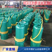 ����BQS5.5ǧ�߷�����ˮ 380v660v ������ɳ�� ú�V2.2KW�����۱�