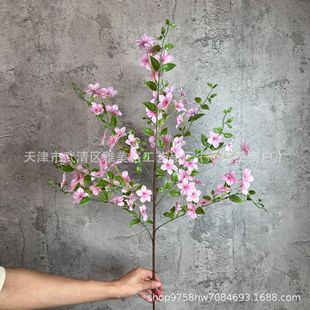 ��������滨�Ҿӿ͏d�b�ˇɭϵ��Y�ò廨�Ӱ��g�[�����յ���