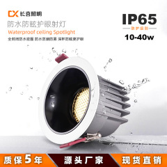 防水ダウンライトスポットライトバルコニー浴室キッチン防湿防塵 LED 埋め込みスポットライト IP65COB 防水スポットライト