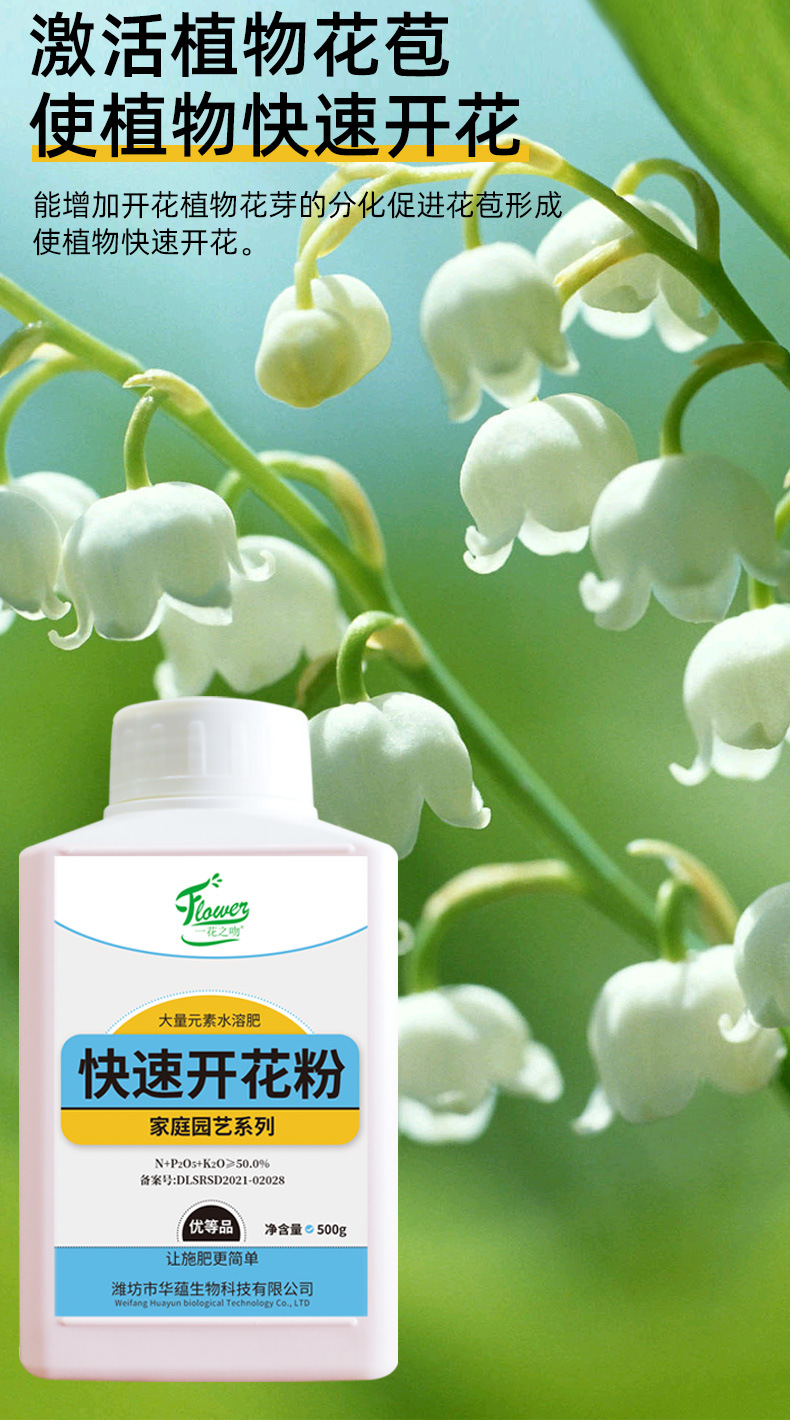 快速开花粉_05.jpg
