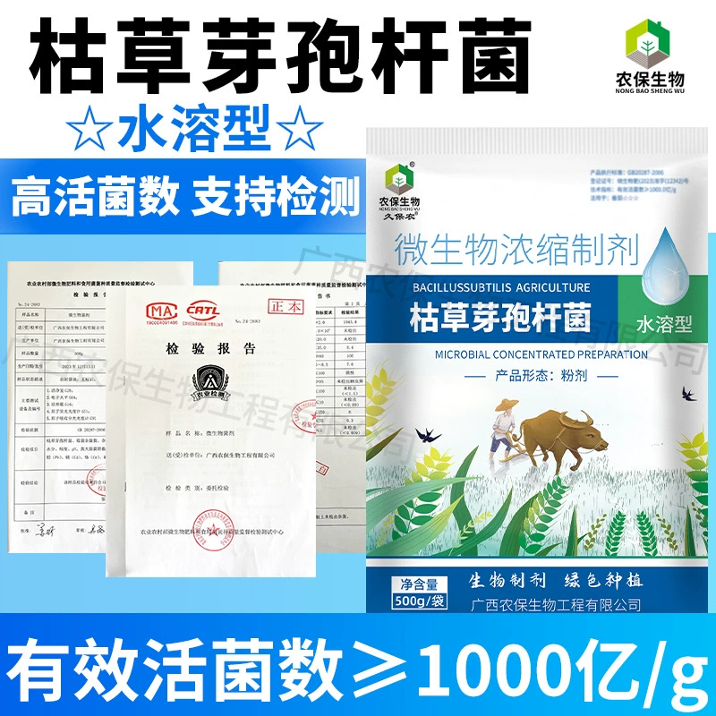 Половодимые микроорганизмы Bacillus subtilis