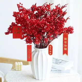 迎客豆永生花蝴蝶花干花花束感真花客厅餐桌插花装饰年宵永生花