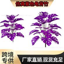 �羳����Gֲ�������辰�Ҿ���ؔ[����c�b٘�@���쾰�ٻ�