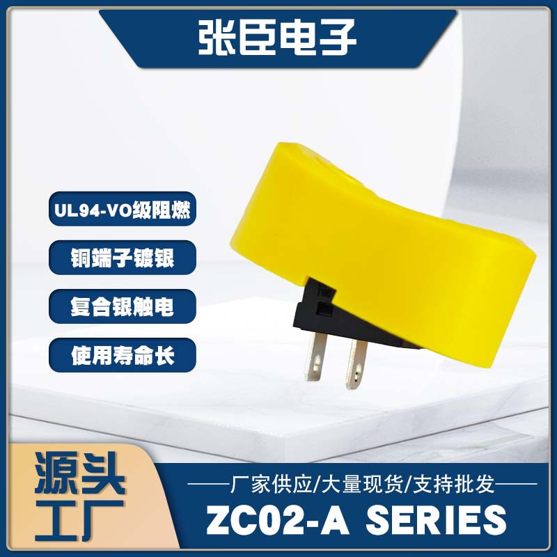 ZC02-A2脚2档大按钮吸尘器船型开关大电流电源开关安装开孔20×13
