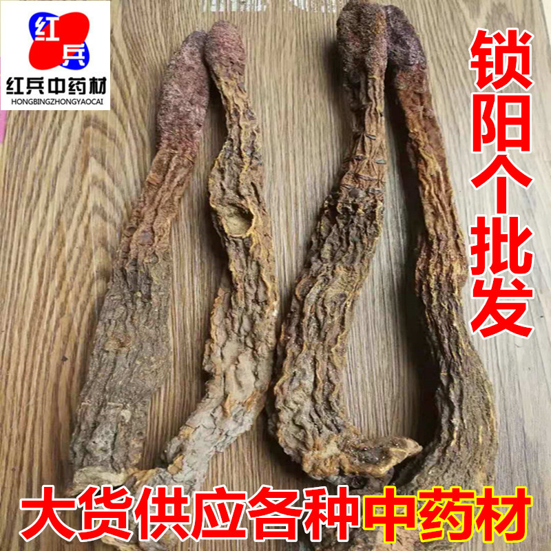 Dried Suo Yang Cynomorium Slices Whole Herb Tonic Herbal Tea and Decoction Ingredient overview