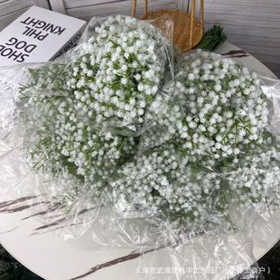 ����108�^ܛ�z�M�������l�ٻ���·���յ��ߔ[����Y��cins���滨