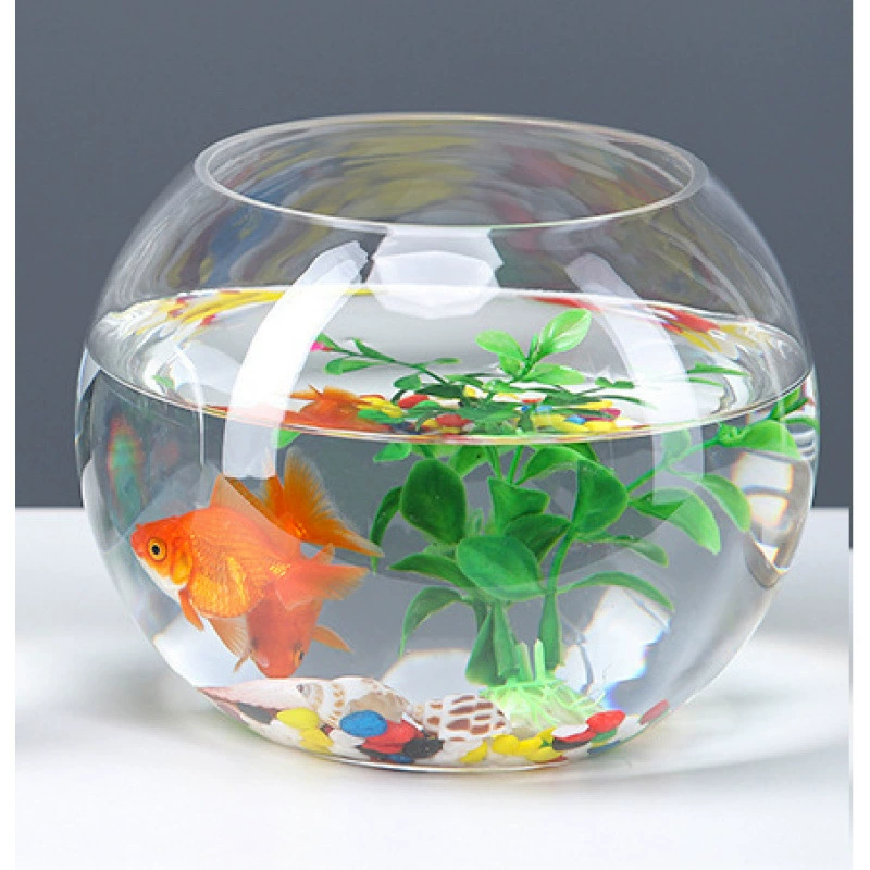 Transparent glass small aquarium for office