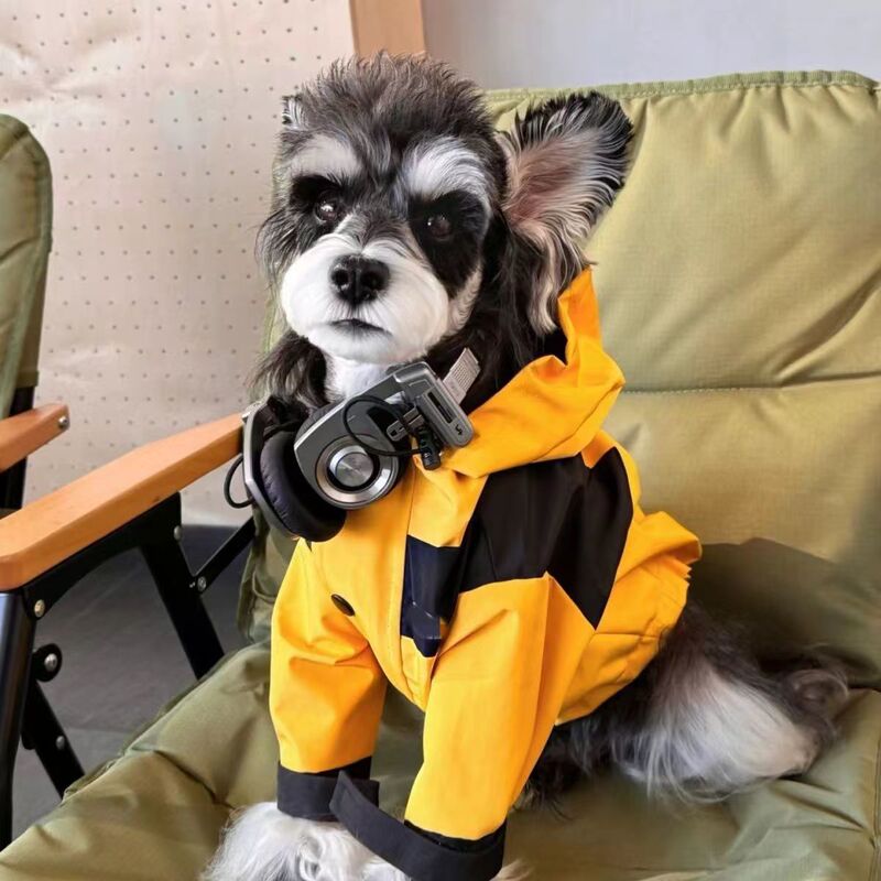 Pet Stykin' Rush Clothes Teddy Bitter Bear Schanery Outdoor Dog Cat Autumn and Winter Warm Clothes Pet Stykin' Rush Clothes Teddy Bitter Bear Schanery Outdoor Dog Cat Autumn and Winter Warm Clothes