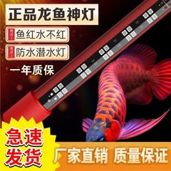 三基色神灯龙鱼增艳增色金龙红龙鱼灯鹦鹉潜水防水鱼缸灯