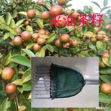 ժͲɰؘ]ͲьЧʸ՘ròժ߾W