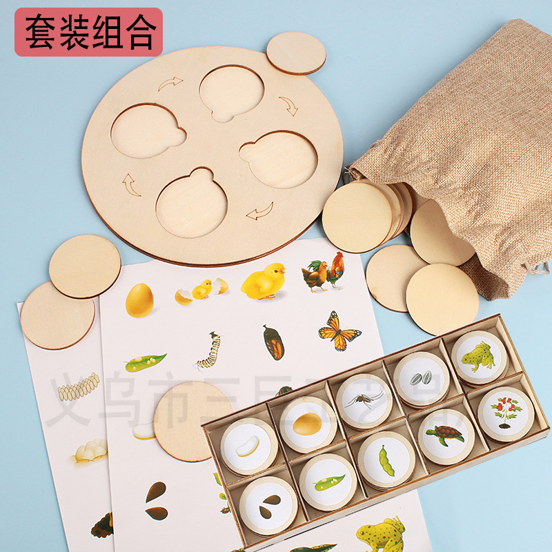 Bebé de madera animales y plantas ciclo crecimiento Montessori iluminación niños DIY educación temprana juguetes cognitivos
