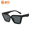 Trend capacious sunglasses, men's windproof retro black glasses, European style, cat's eye