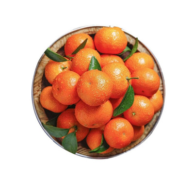 Guangxi Sugar Orange Orange Ribose Orange wholesale Shatangju Now pick Now send fresh fruit One piece On behalf of