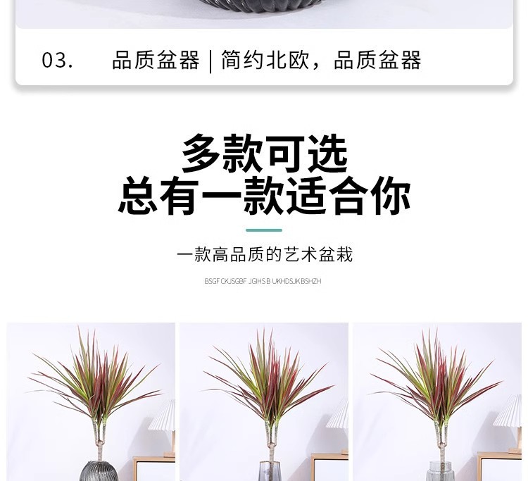 d771b1d8-851f-4310-87fb-91f4ddd53f84.jpe