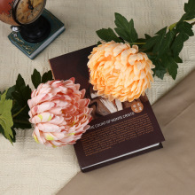 ��֦���F�� �͹����յ��߷��滨�[���ҾӲ����[���b������ռٻ�