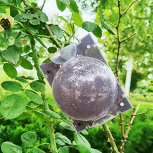 ֲ��߉��з�ֳ�м޽Ӻ�ֲ��������@�֘�ľ�߿Չ�֦����ֳ���辰