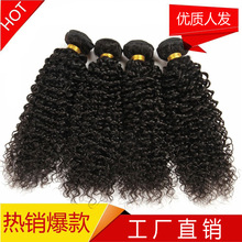 Jerry Curly 8A Human Hair Bundles Virgin Hair Extensions