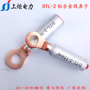 �~�X�A�^�X�Ͻ𾀱��� 10ƽ���X�Ͻ���|�Ӿ����� DTL-2-10�X����
