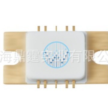 GaN MMIC  PA Power Amplifier �����ص�Ƭ΢�����ɵ�· WPGM0507