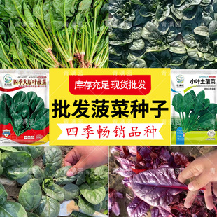 ���~���˷N���ļ��߲��ﶬ�ѷN�̨�N���͟�˷N���Բ��˼s1000��