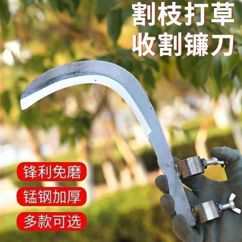 微信图片_202504180957504.jpg