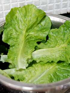 ���������~��ģ�ͼ��߲�����ܛ���~���G���~�|Ƭ�͏d���P�[�P�b�