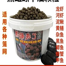 ��������ͺ��w���r�\���~�W�\�S�X�T�Dץ���r���r���q�S�X�~�D��