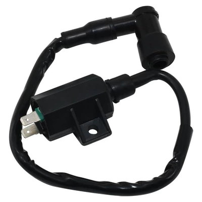 Kawasaki Atv Klf220 üçün alışdırma bobini 21121-1160 21121-1198