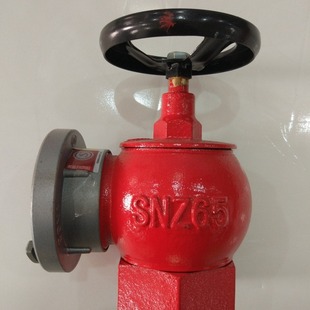 Ningbo Manufacturers Supply SN65 Indoor Fire Hydrant Can Be Customized with Multiple Specifications Fire Hydrant