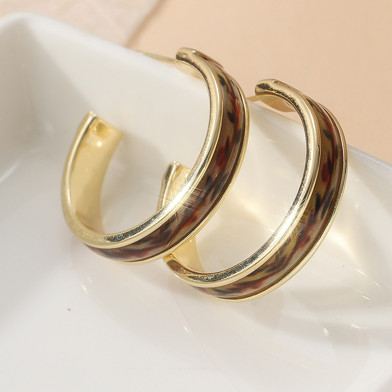 Chenyue Cross-Border Earrings Valentine's Day Gift Niche Hong Kong Style Ear Hoops Source of Supply