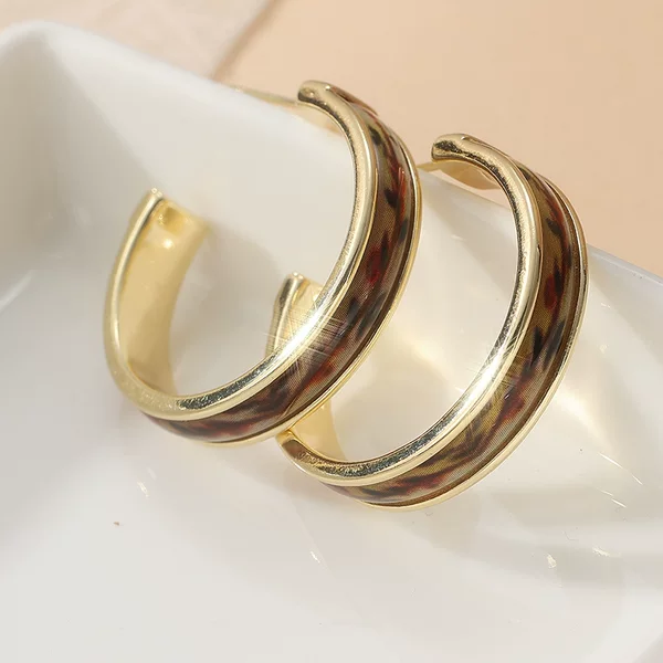 Chenyue Cross-Border Earrings Valentine's Day Gift Niche Hong Kong Style Ear Hoops Source of Supply