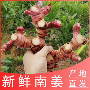 �F؛���r�Ͻ�������Ұ��ɽ������ţ�����uζ��ꎹ����ϵ��ϰ��]