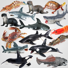 羳挍ĺģ׃^̖ˮrзͯߔ[