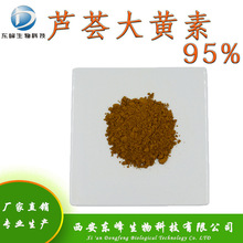 芦荟大黄素 95% 481-72-1 库拉索芦荟提取物 源头货源 大黄素