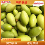 橄榄青橄榄500g生橄榄果青果水果广东潮汕特产鲜白榄批发