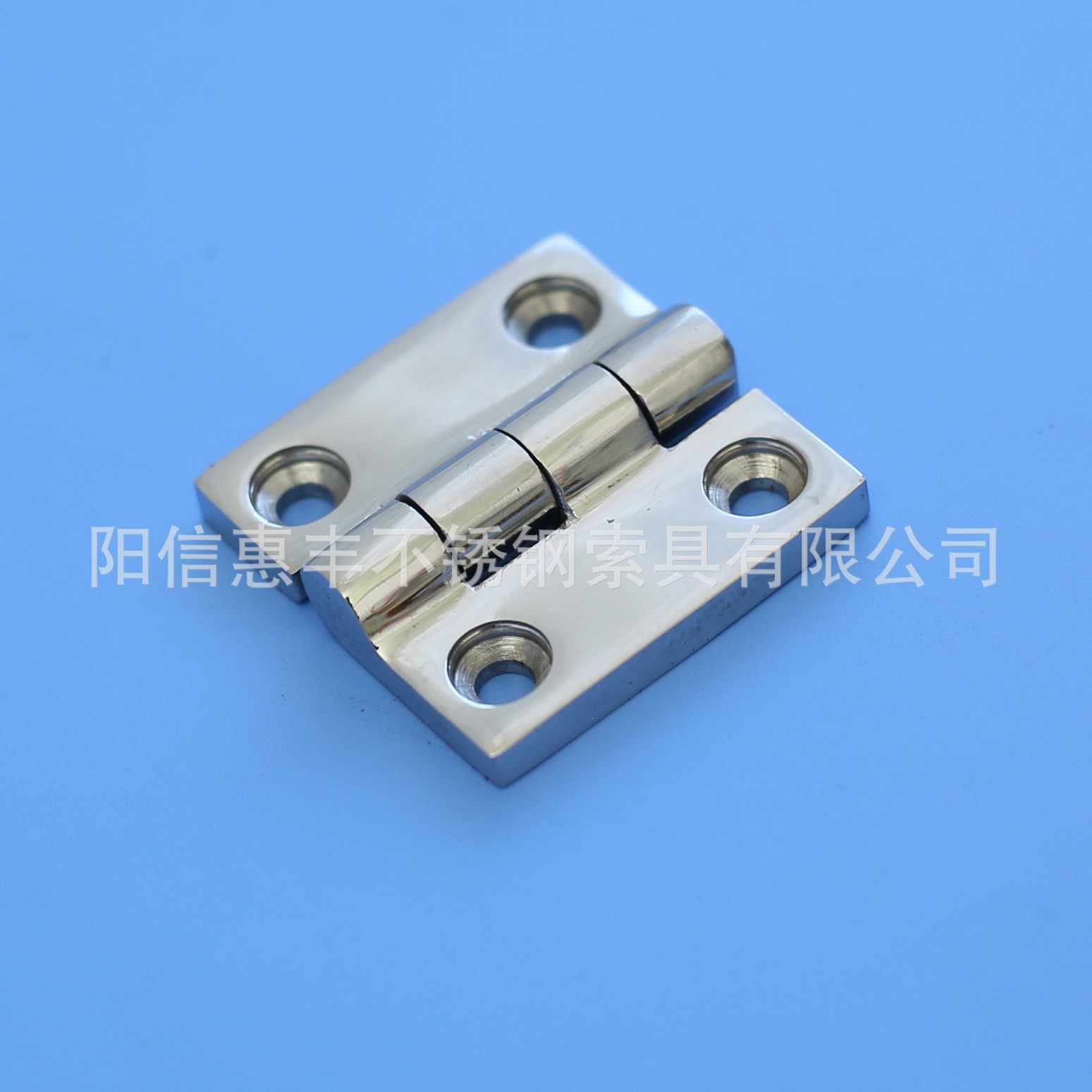 厂家供应ss316 不锈钢合页 对称合页 铰链 铸造镜面抛光