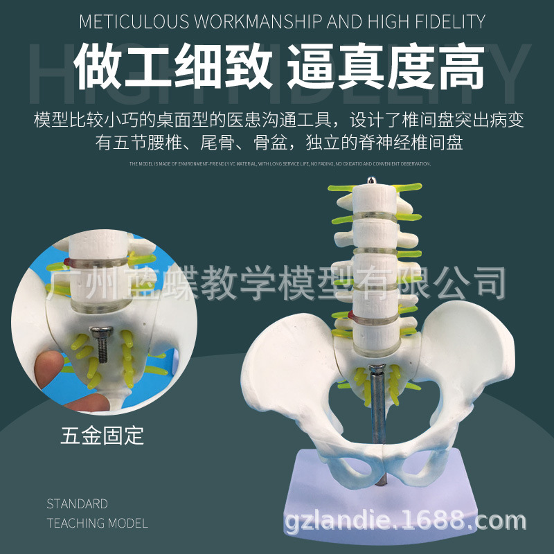 С�͹���������׵ģ�� ������׵β׵β��׵�����񾭹���ģ��