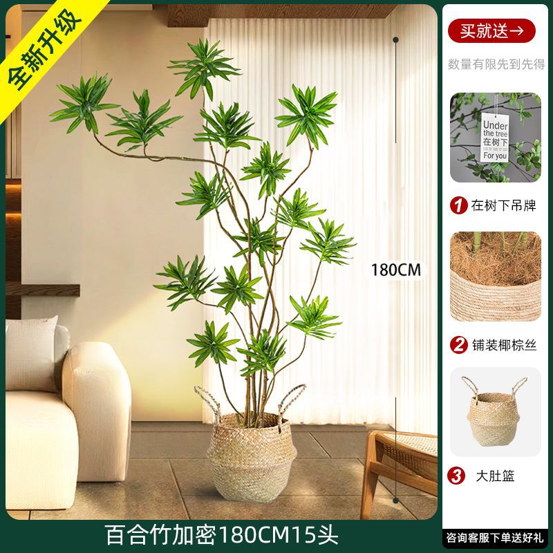 [W Ruyi Bamboo] Khung mây 180CM15