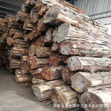 红心柏 红心柏原木板材 红雪松 红桧木 红香柏原木板材规格加工