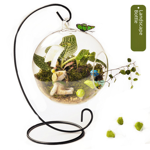 Wholesale hanging glass vase succulent plant micro landscape creative home decor Nordic craft zakka