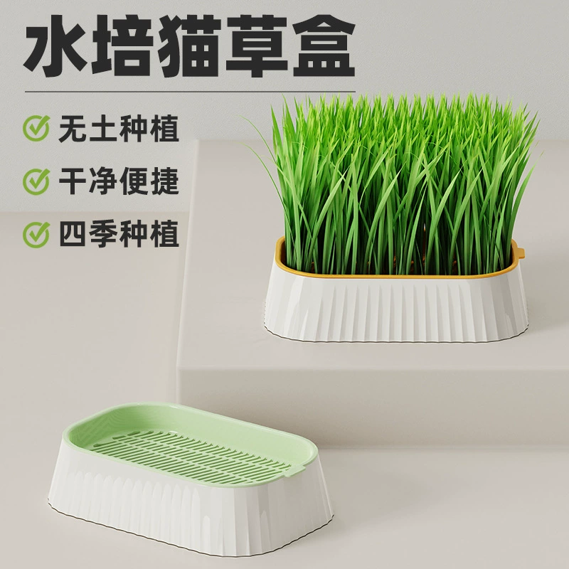 Новая гидропонная коробка для кошачьей травы, коробка для выращивания семян пшеницы, гидропонная безземельная посадка кошачьей травы, горшок для кошачьей травы, гидропонная коробка