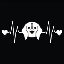 CMI DD162 Beagle Heartbeat��ֽ| 7Ӣ��x 2.6Ӣ�����ʰ�ɫ��ϩ��
