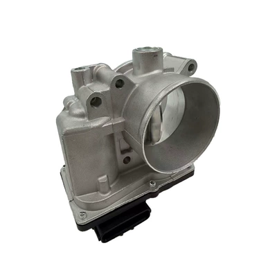 Drossel Throttle Assembly 1450A033