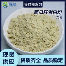 南瓜籽蛋白粉食品级原料现货批发南瓜籽提取物南瓜籽蛋白粉