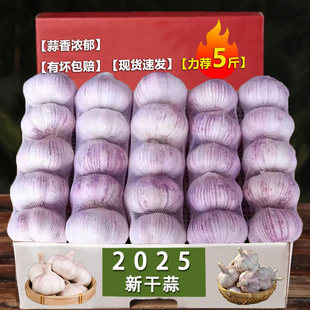2025�¸����^9������ϰ׼tƤ���ⱡƤ��������Ƥ�������^5